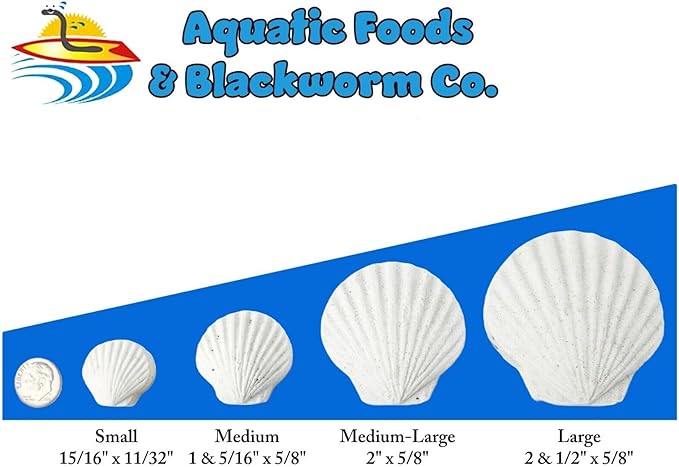 Aquatic Foods Inc. Calcium Feeder Small, Medium & Large Shells. Extra Thick Shells for Shrimp, Snails, Crabs, Crayfish, Hermit Crabs and All Tropical Fish…90 Count Jar