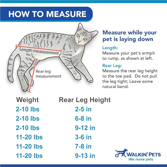 Walkin' Wheels Lightweight – for Small Cats 2 to 20 Pounds – Veterinarian Approved – Cat Wheelchair for Back Legs, for Cats 2-10 lbs, 6-8 inches Leg Height – Blue