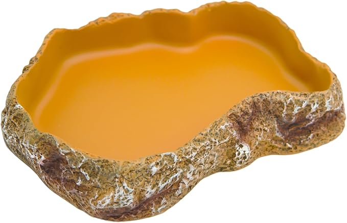 Reptile Food Feeding Dish, Bearded Dragon Food Bowl, Dearded Dragon Tank Accessories (Reptile Feeding Dish, Large)