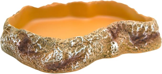 Reptile Food Feeding Dish, Bearded Dragon Food Bowl, Dearded Dragon Tank Accessories (Reptile Feeding Dish, Large)