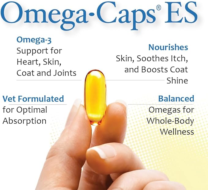 Extra Strength for Large and Giant Dogs Value Size Omega-3 and Omega-6 Fatty Acid Antioxidant Supplement Vet Formulated Made in USA Skin Coat Joint Heart and Immune Health 250 Softgel Capsules