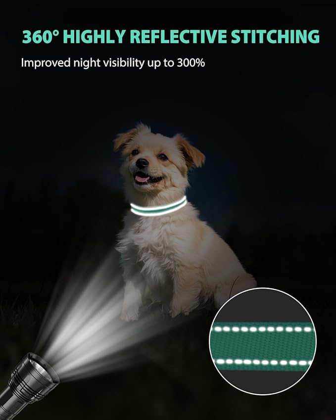 Joytale Small Dog Collar, Reflective and Adjustable Nylon Collar with Quick-Release Buckle, Lightweight No-Choke Design for Small Dogs, Teal, 3/4" Width