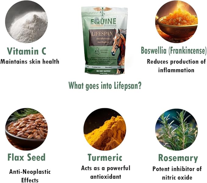 Lifespan Equine Herbal Anti-Inflammatory Supplement | Natural Joint & Mobility Support for Horses | Eases Swelling, Stiffness & Pain | Daily Powder Formula