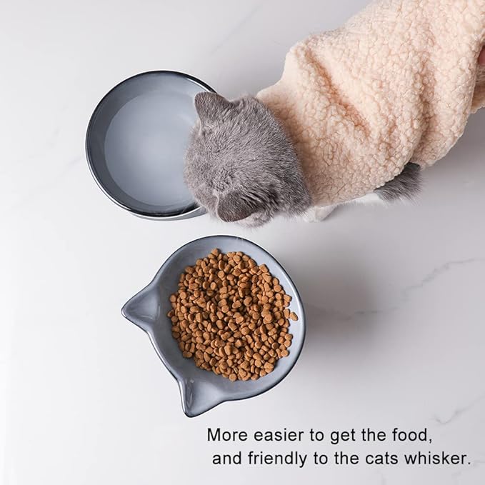 Nihow Ceramic Raised Cat & Dog Bowls: 5 Inch Elegant Gray (2 PC), Protecting Pet's Spine, Feeding & Watering Supplies, Modern Design, Anti Vomiting, Whisker Friendly