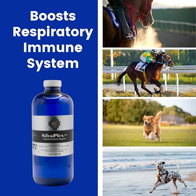 Natural Immune Support Solution for Dogs, Cats, Horses, Small Animals, 100 PPM Chelated Silver (16 oz)