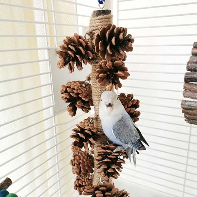 Parrot Toys Natural Pine Cones Bird Chew Toys Hanging Chewing Sticks Toys Bird Cage Toys for Conures Parakeets Cockatoo Cockatiel (with 18 Pinecones)