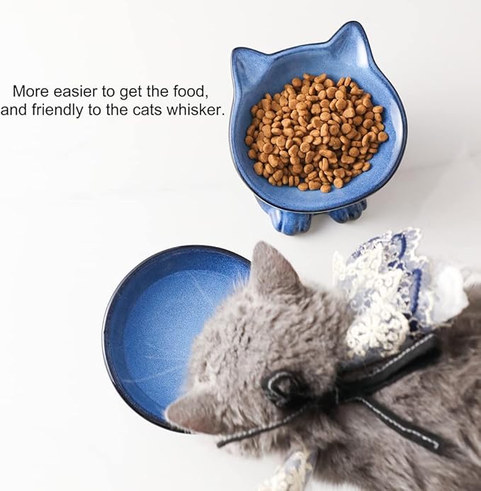 Nihow Elevated Cat/Dog Bowls Set : 5 Inch Ceramic Raised Cat Food and Water Bowl Set for Protecting Pet's Spine - Feeding & Watering Supplies for Pets- Elegant Blue & Black (2PC)