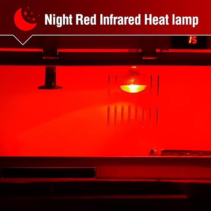Leoterra Reptile Heat Lamp Bulbs 2PACK100w Red Night Heat Lamp Bulbs for Reptile Tank,Turtle,Bearded Dargon,Lizard,Snake,Chincken,Dog,Hedgehog Night Use Infrared Heat Lamp Bulbs,Long Lasting