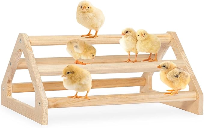 PETSFIT Chick Perch Prevent Rotation Design, Strong Wooden Roosting Bar, Easy to Assemble and Clean, Fun Toys for Chick