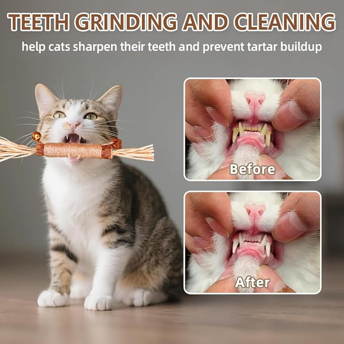 Natural Dried Matatabi Cat Chew Stick with Gall Fruit, Raffia Grass & Bell Cat Ball Toys, Handmade Silvervine Sticks Interactive Catnip Toys for Teething & Entertainment (Size M Color I)