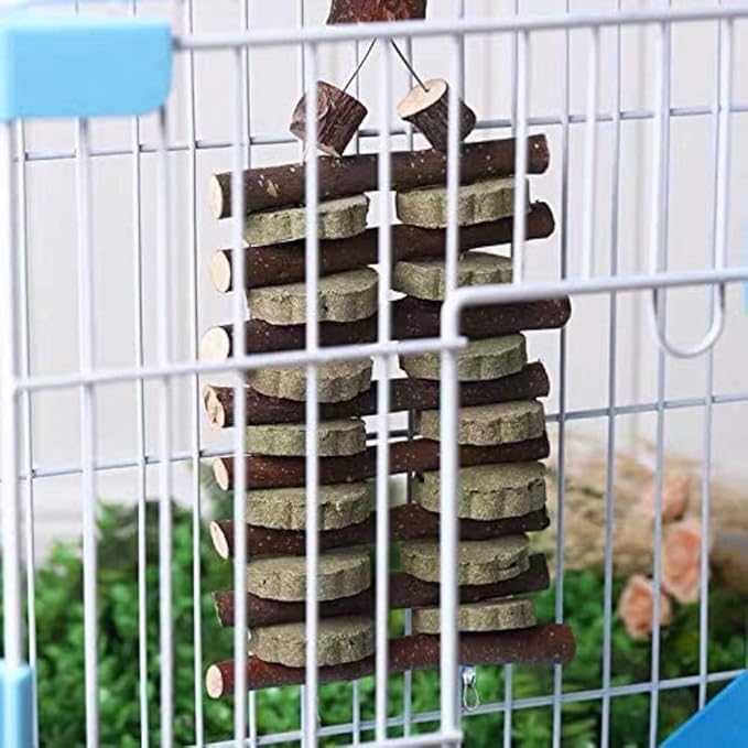 kathson Rabbit Bunny Chew Toys for Teeth, Natural Apple Wood Guinea Pigs Hanging Treats Chinchilla Treats Sticks for Rabbit Hamsters Bunny Chinchilla Squirrels and Gerbils