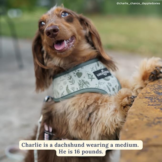 Lucy & Co. Cute Reversible Dog Harness Walking Halter - Best Designer Pet Harnesses for XS - XL Dogs - Padded Adjustable Vest for Easy Walking-Medium-Green Outdoor Plaid