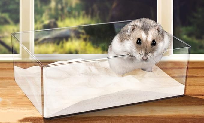 Cumuiu Hamster Sand Bathroom Clear Acrylic Toilet Tray Bathroom for Hedgehog Squirrel Hamster Guinea Pigs and Small Animal (Small)