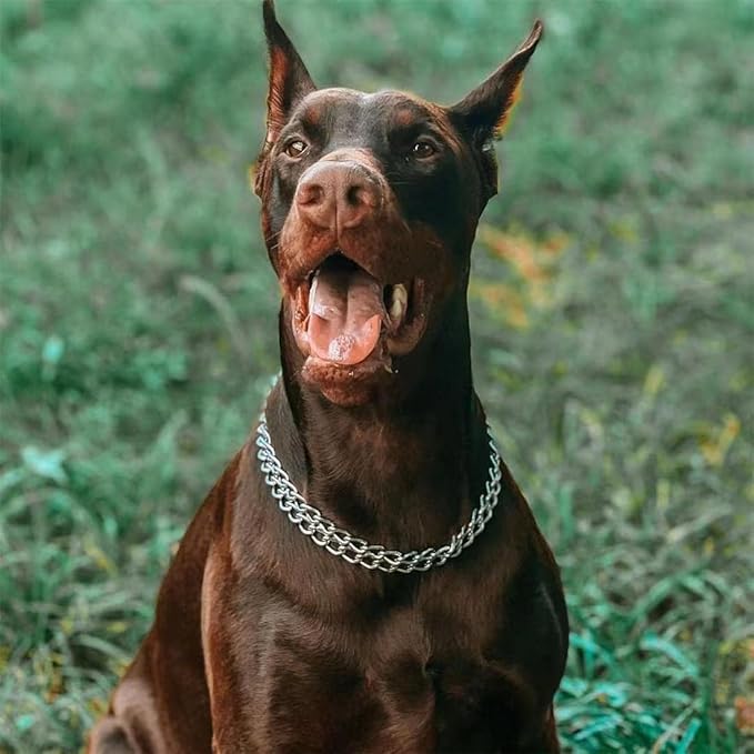 Silver Dog Choker Collar,2 Rows Stainless Steel Dog Chain Cuban Link Metal Martingale Collar Heavy Duty Training Choke Collar for Small Medium Large Big Breed (Silver, S(Neck Max 12inch) D2.0mm)
