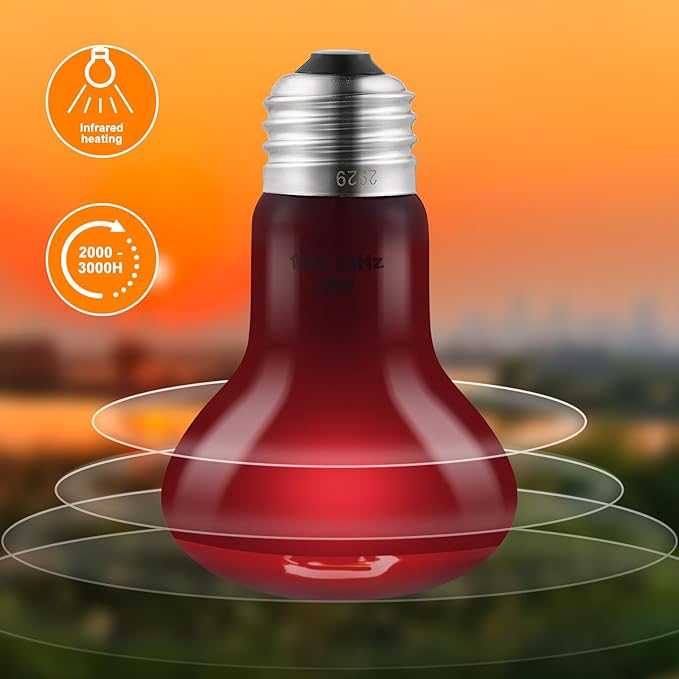 DXOPHIEX 2 Pack 75W Reptile Heat Lamp Bulbs Reptile Heat Bulbs, UVA Basking Bulb and Infrared Light Bulb Combo, Basking Light for Bearded Dragon, Turtles, Snake and Lizard
