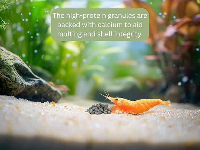Shrimp Food 4.6 oz – High Protein Discs with Spirulina, Probiotics, and Calcium for Neocaridina, Caridina, Crystal Shrimp & Aquatic Invertebrates – Molting Support