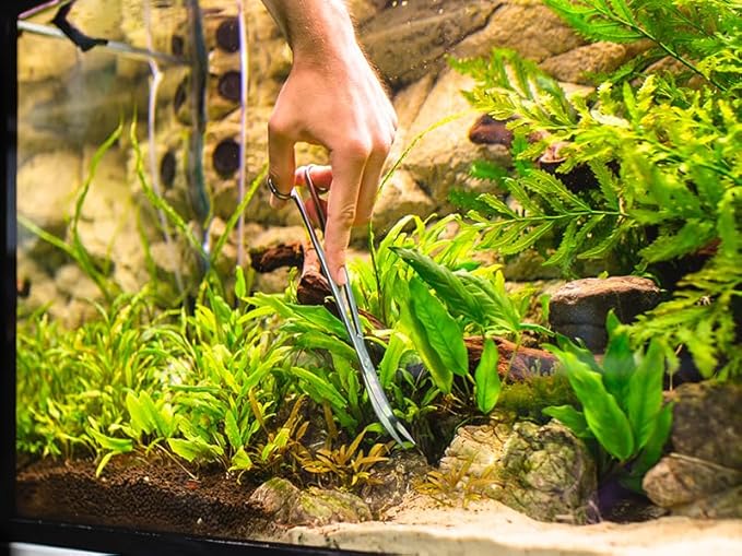 VORESTIC Long Aquarium Scissors for Plants 9.8 inches, Aquascaping Scissors Curved, Aquarium Plant Trimmer, Aquascape Tools, Terrarium Tools for Plants