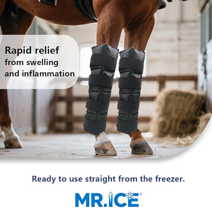 Horse Ice Boot Wraps - Reusable Gel Ice Pack for Horses Boots | Cooling Boot for Horse Injuries& Post-Training, Hock, Knee & Ankle | Horse Supplies & Care Gift Ideas - 1 Pair/Black