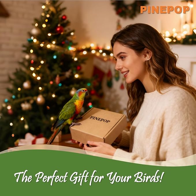 Bird Toys - Christmas Parrot Toys, Cage Enrichment | Foraging Wreath | Chewing and Shredding | Ideal for Parakeets/Cockatiels/Conures/Lovebirds and Small to Medium Birds