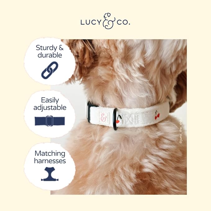 Lucy & Co. Sipping Slowly Dog Collar, Adjustable Durable Dog Collar with Cute Print, Medium