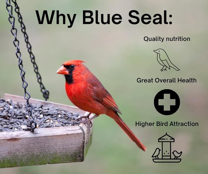 Blue Seal Song Nature's Choice Wild Bird Seed | High Energy Mix, No Filler | Sunflower and White Safflower Seeds | Attracts Variety of Wild Outside Birds | Shell-Free Mix | Made in USA | 8 Pound Bag