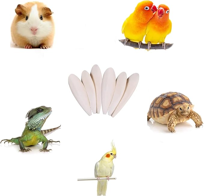 Afkengung 6 Pieces Natural Cuttlebone Calcium Block for Birds Parakeets Reptiles Turtles Grindable Powder Feeding Natural Calcium Supply Improve Pet Immunity Each 4.3-5.1 Inch