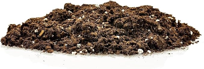 GARDENERA Premium Snake Plant Potting Soil Mix - 10 Quart - Green Sansevieria Trifascatia Zeylanica Plants, Plant or Re-Pot Your Snake Plant (2 Bags of 5 Quart)