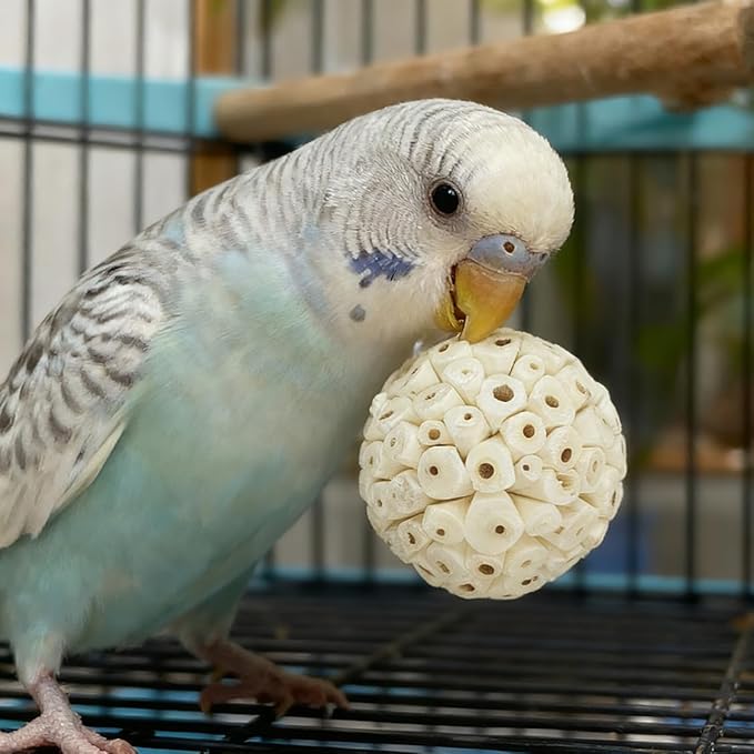 Bird Toys - 9Pcs 1.6" Natural Sola Balls, Cage Enrichment | Chewing and Shredding Parrot Toys | Ideal for Parakeets/Cockatiels/Conures/Lovebirds and Small to Medium Birds