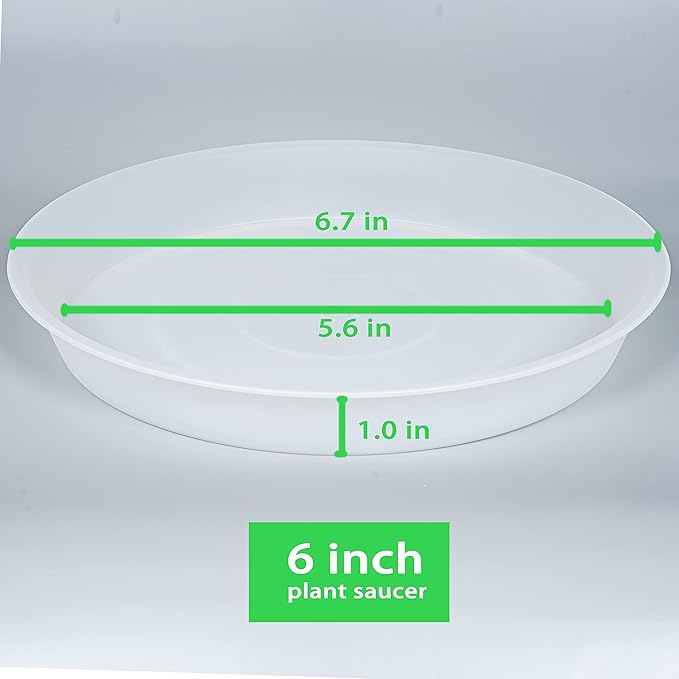 6 Pack Plant Saucer Tray, 4 5 6 8 10 12 13 15 17 19 inch Plant Saucers, Heavy Duty Plastic Plant Drip Trays for Indoors, Flower Plant Water Tray, Plant Trays for Pots Base (6 inch, Clear)