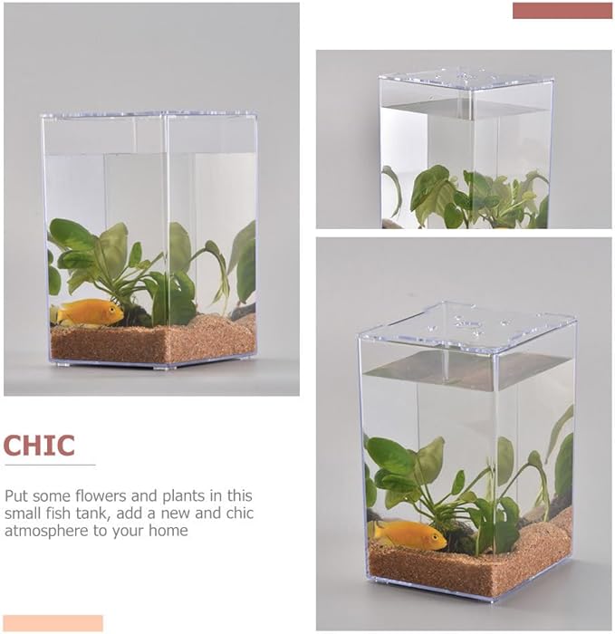 Acrylic Fish Breeding Box-1pc Acrylic Fish Isolation Box Tank Desktop Aquarium Betta Tank Small Aquarium Miniature Turtle Tank Mini Bowl Container