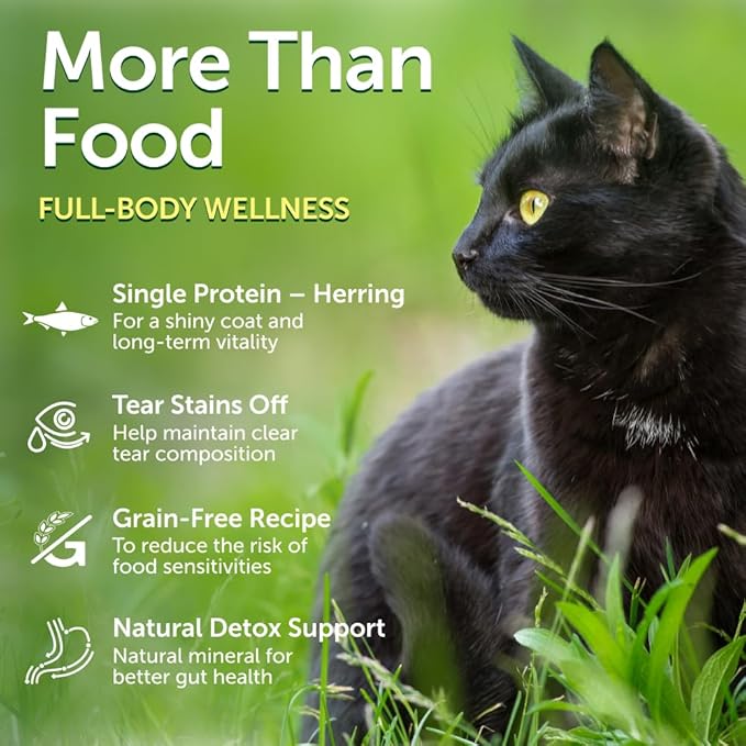 Nature's Protection Dry Cat Food - Grain Free, High Protein Cat Food Dry Kibble for Indoor Adult Cats with Dark Fur - Sensitive Stomach, No Tear Stains & Hairball (Superior Care - Herring, 14.11 oz)