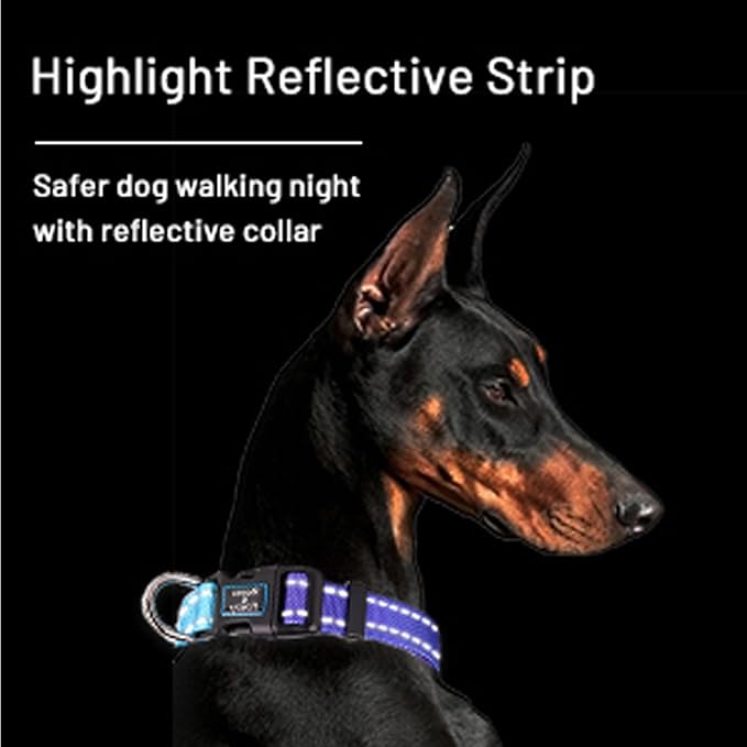 Roses&Poetry Reflective Dog Collar with Gradient Violet, Adjustable Durable Pet Collars for Small Medium Large Dogs (Violet-XS)