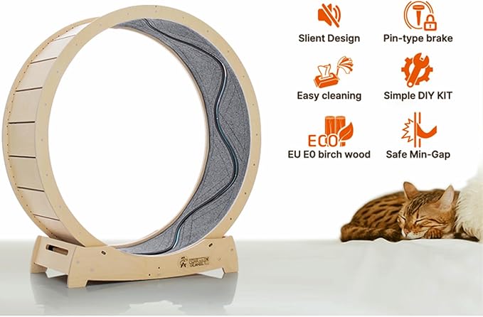 Star Cat Wheel, Cat Treadmill, Exercise Wheel for Running, Spinning, Scratching, and Climbing for Indoor Cats, Premium Birch Wood, Eco-Friendly, Moving Fish, Wide Running Track, 47.2 inch XL Size