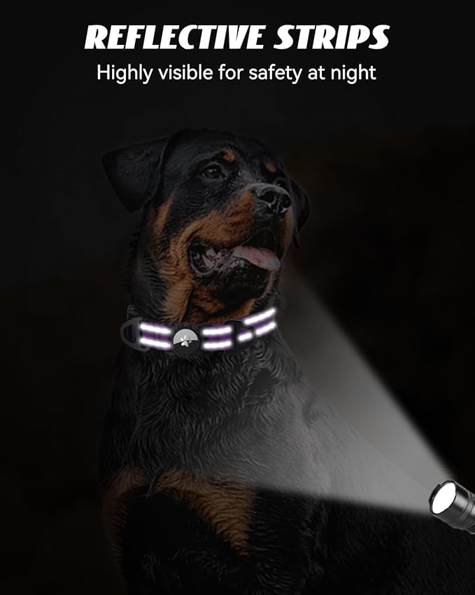 Joytale Airtag Dog Collar, Reflective Pet Collar with Waterproof AirTag Holder, Dual D-Rings, Soft Padded Adjustable for Medium Dogs, Purple, M