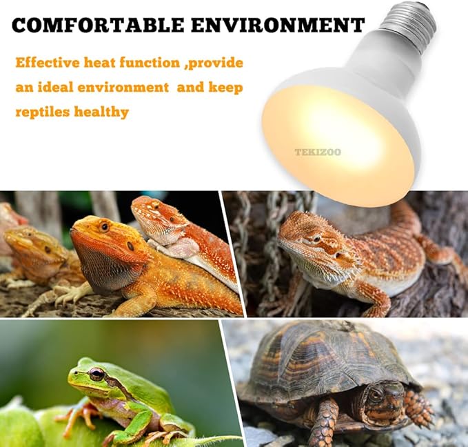 Reptile Heat Lamp Basking Spot Bulb UVA Daylight Light for Amphibian,Lizard,Tortoise,Bearded Dragon 75W (4 Pack)