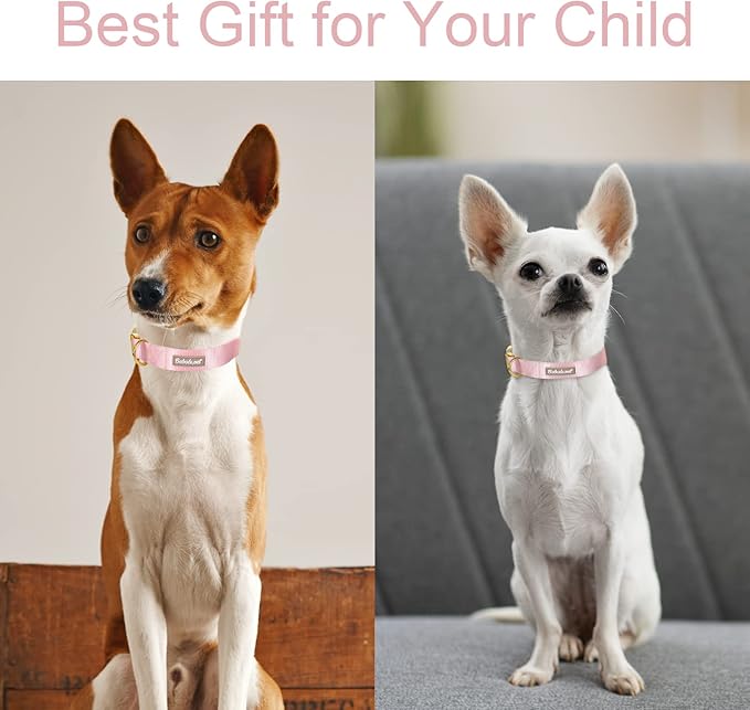 Nylon Dog Collar - Adjustable Pink Soft Webbing Dog Collars for Small Medium Large Dogs Boy Girl Puppy Collar with Safety Metal Buckle XS