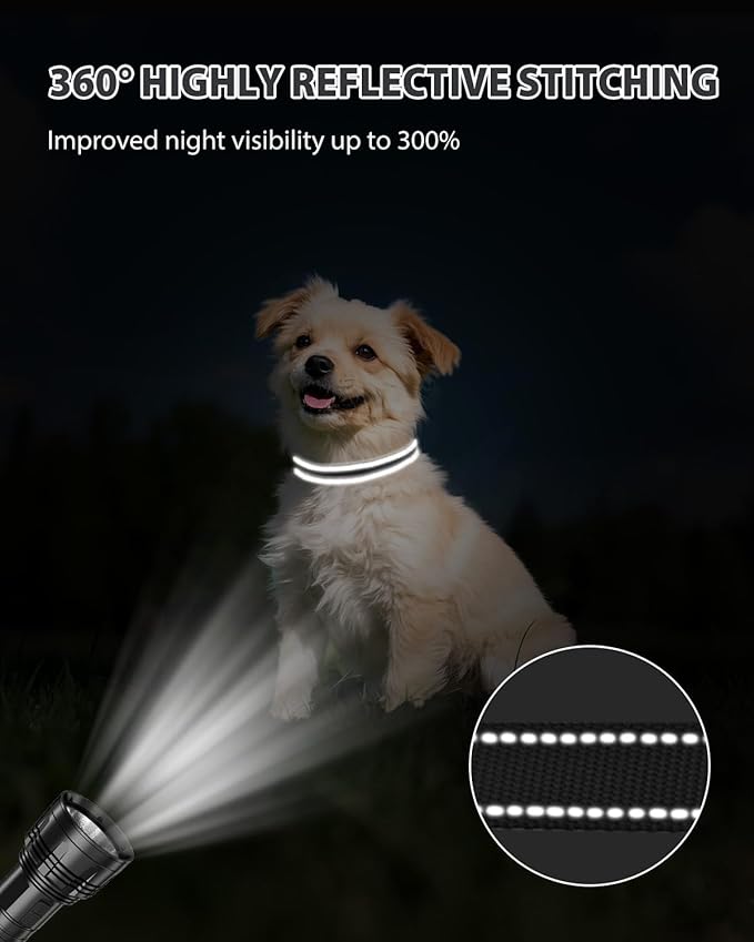 Joytale Small Dog Collar, Reflective and Adjustable Nylon Collar with Quick-Release Buckle, Lightweight No-Choke Design for Small Dogs, Black, 5/8" Width