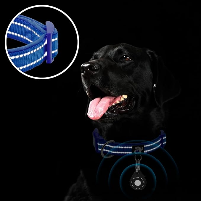 azuza Reflective Dog Collar with Airtag Holder, Soft Neoprene Padded Pet Collar with ID Tag Ring, Adjustable for Puppy and Small Dogs,Royal Blue,XS