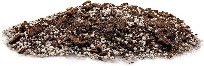 GARDENERA Palm Tree Potting Mix - The Ultimate Soil for Strong and Healthy Palms - Top Choice for Palm Tree Growers [2 Quart Bag]