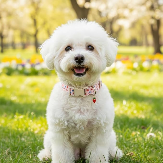 Girl Dog Collar, Cute Dog Collar for Medium Dogs with Cute Strawberry, Cherry and Blueberry Print, Pink Collar for Dogs with Quick-Release Buckle and Robust D Ring, M