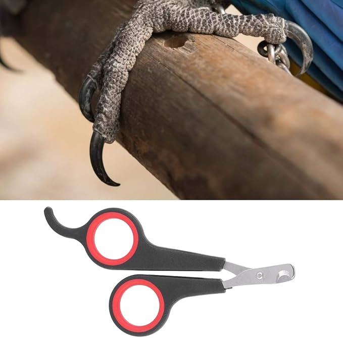 Solid Stainless Steel Bird Nail Clipper, Bird Cage Essential Accessories, Bird Grooming Tool Accessory for Pet Store & Parrot