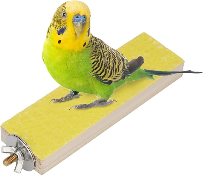 Parrot Wooden Perch Platform Playground Macaw African Greys Budgies Parakeet Cockatiels Conure Macaw Finch Cage Shelf Toy Cage Accessories（Random Color） (A)