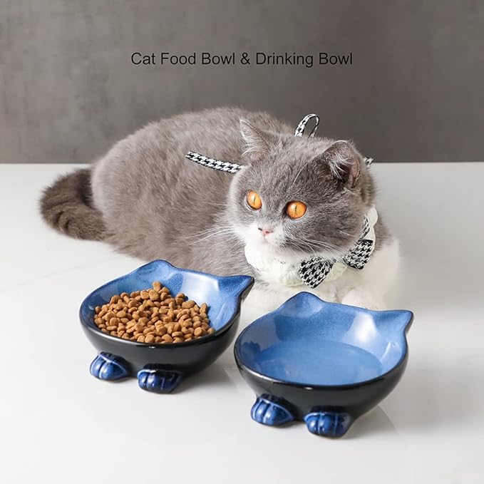 Nihow Ceramic Basic Cat Bowl: 5 Inch Cat Dish for Food & Water - Food Grade, Microwave & Dishwasher Safe - Elegant Blue & Black (4.25 OZ /1 PC)