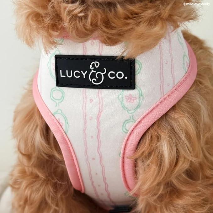 Lucy & Co. Sipping Slowly Reversible Dog Harness, Adjustable Comfort Fit with Dual Leash Attachments, Small