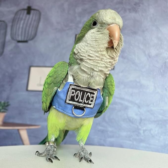 Bird Flight Harness Vest, Parrot Flight Suit with Leash, Bird Flying Clothes with Rope and Handle for Outdoor Activities (Without Leash,Cockatiel)