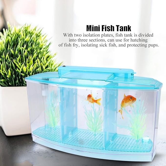 Small Fish Tank with Filter, Aquarium Fish LED Acrylic Three Divisions Breeding Isolation Box for Small Fishes Aquarium Fish (Blue)