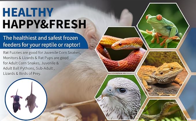 MiceDirect 50 Frozen Rat Combo Pack 25 Rat Fuzzies and 25 Rat Pup Feeders Snake Food for Baby Ball Pythons and Boas (2-3.5 in)(Pack of 50)(725 Grams Min)