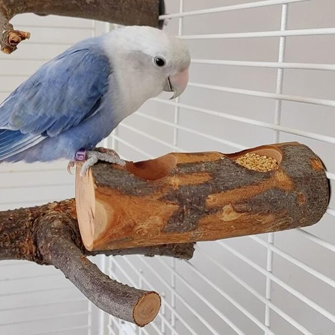 Apple Wood Feeding Bowl for Small Animals, Food Dish for Guinea Pig, Chinchilla Parrots