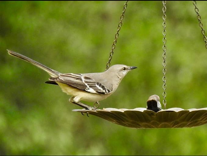 Metal Hanging Bird Feeder Tray to Attracting Bird for Outdoor Garden Decorative Birdfeeder