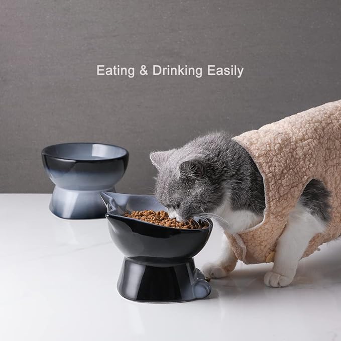 Nihow Ceramic Raised Cat & Dog Bowls: 5 Inch Elegant Gray (2 PC), Protecting Pet's Spine, Feeding & Watering Supplies, Modern Design, Anti Vomiting, Whisker Friendly